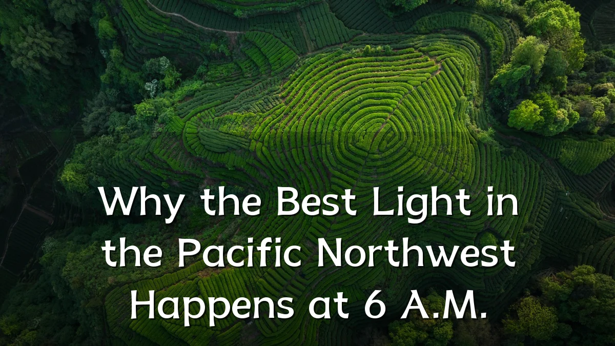 Why the Best Light in the Pacific Northwest Happens at 6 A.M.