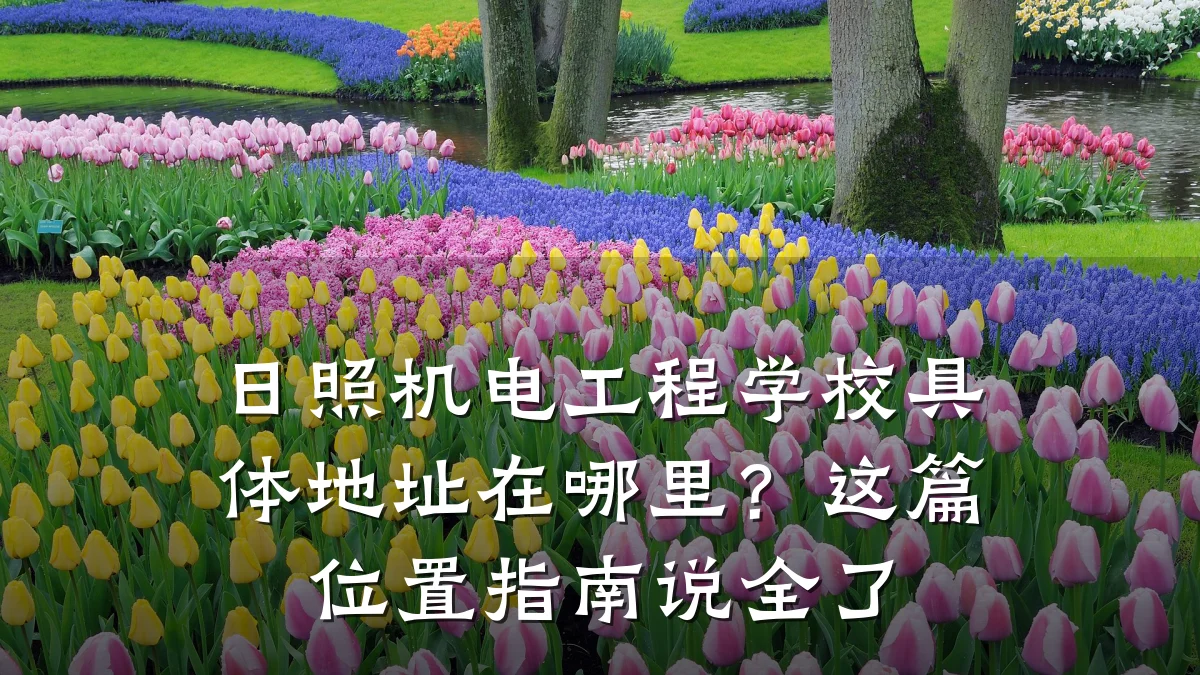 日照机电工程学校具体地址在哪里?这篇位置指南说全了